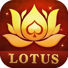 rummy boy downloading download